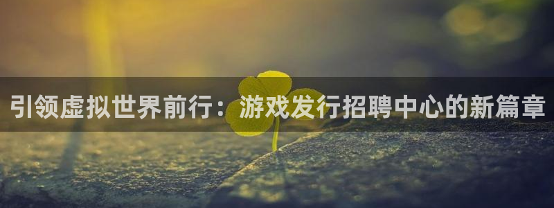 新城平台注册公司流程