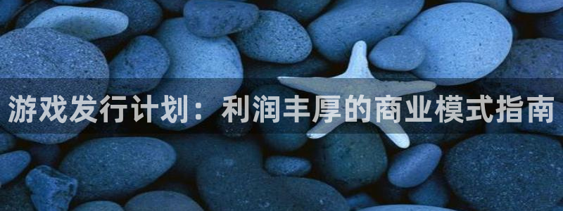 新城平台注册登录地址怎么填：游戏发行计划：利润丰厚的商业模式指南