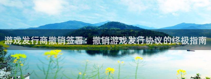 新城平台注册公司流程视频：游戏发行商撤销签署：撤销游戏发行协议的终极指南