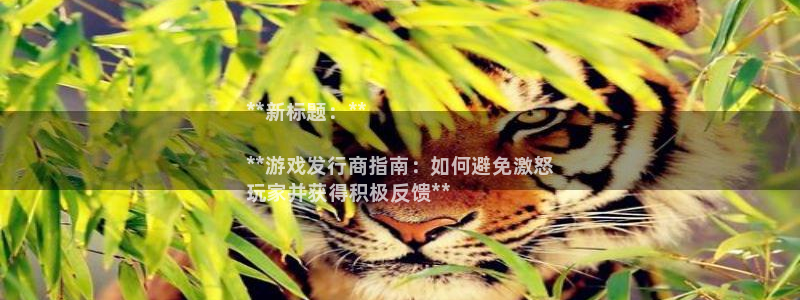 新城平台招商