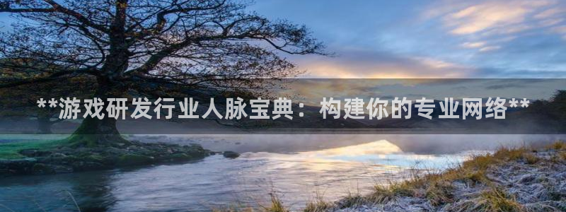 新城平台注册资金多少：**游戏研发行业人脉宝典：构建你的专业网络**
