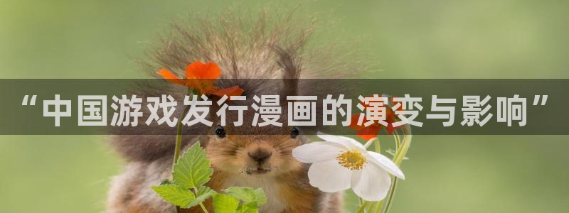 新城平台注册资金多少合适：“中国游戏发行漫画的演变与影响”