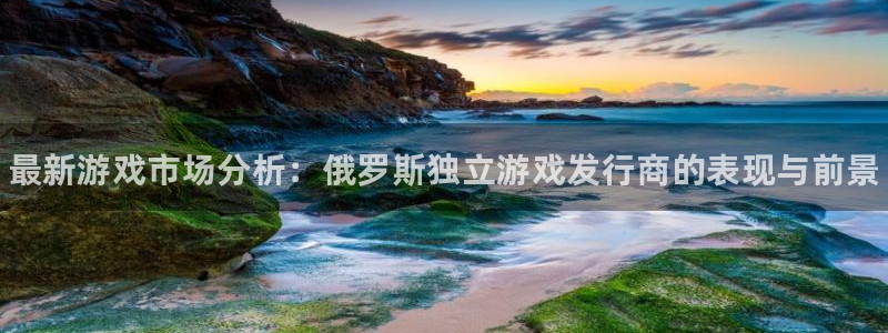 新城平台注册网址查询：最新游戏市场分析：俄罗斯独立游戏发行商的表现与前景