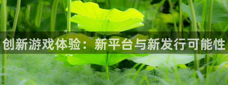 新城平台主管：创新游戏体验：新平台与新发行可能性