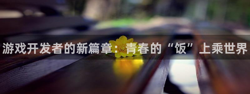 新城平台注册流程及费用：游戏开发者的新篇章：青春的“饭”上乘世界