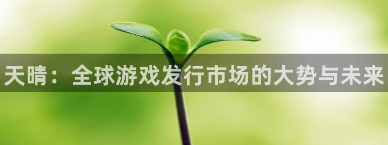 新城平台注册登录地址是什么