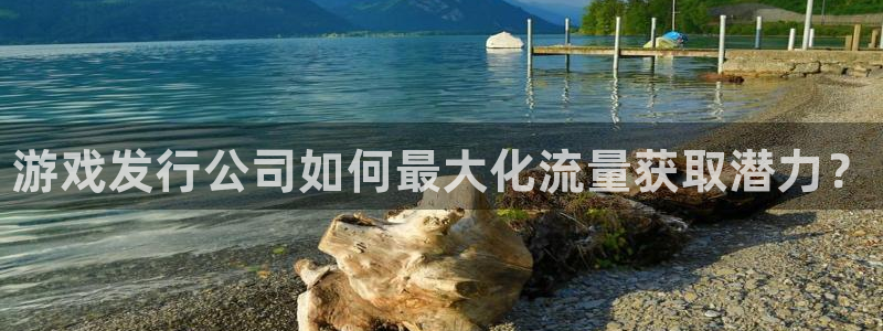 新城平台登录密码忘了怎么改