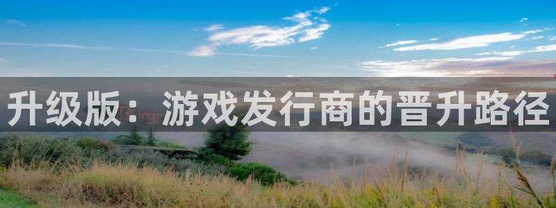 新城平台注册资金多少合适：升级版：游戏发行商的晋升路径