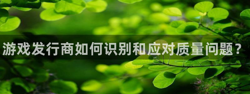 新城平台登录入口官网：游戏发行商如何识别和应对质量问题？