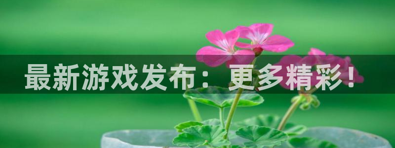 新城平台登录入口官网网址