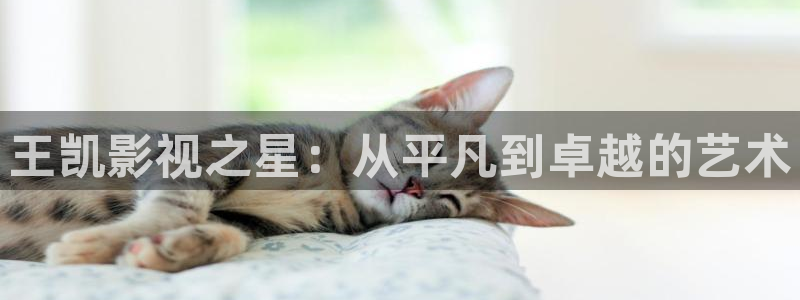 晴天影视免费下载
