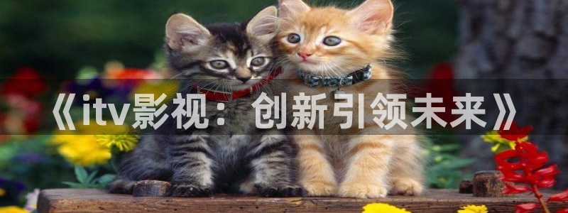 月之晴天电影免费播放