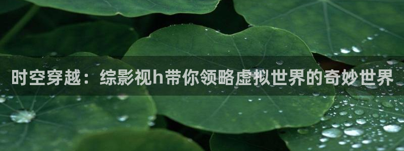 夏日友晴天电影中文版