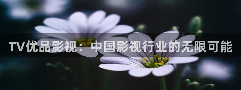 晴天影视app