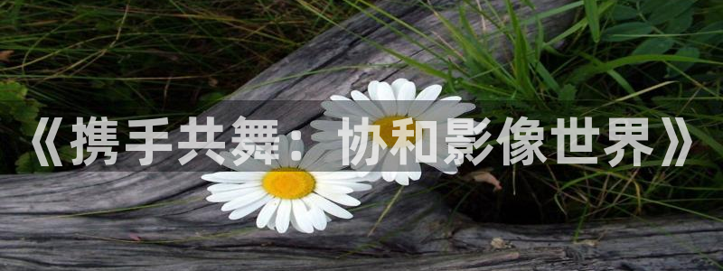 晴天影视免费观看